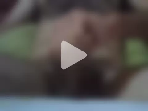 cavallopazzo0612 photo 16