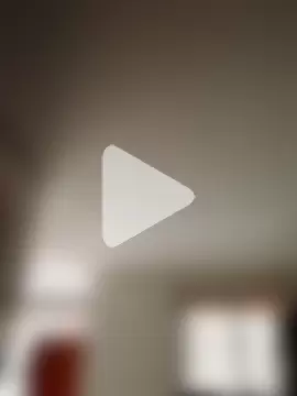 cazaperdidas photo 8