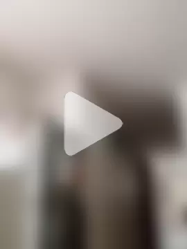 cazaperdidas photo 1