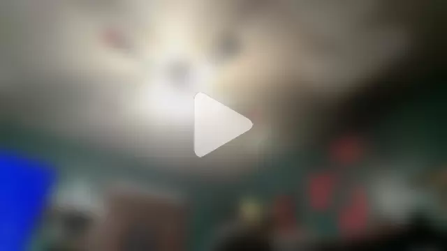 charactrzero photo 16