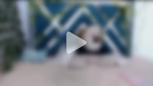 charly__evans photo 6