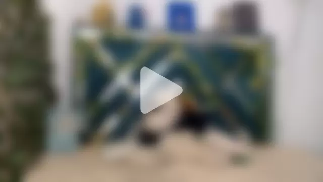 charly__evans photo 2