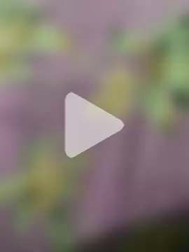 charming_dick15 photo 9