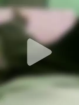 charming_dick15 photo 5