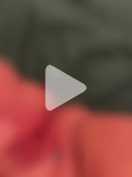 chatteenfeu3164 photo 1