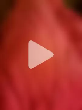 chatwatchcum photo 13