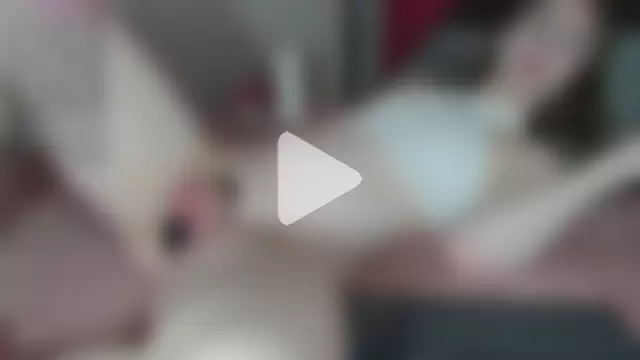 cherrysugarfree photo 14