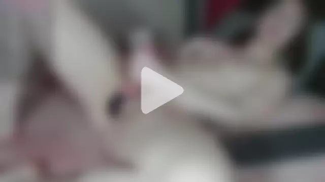 cherrysugarfree photo 10