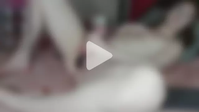 cherrysugarfree photo 7