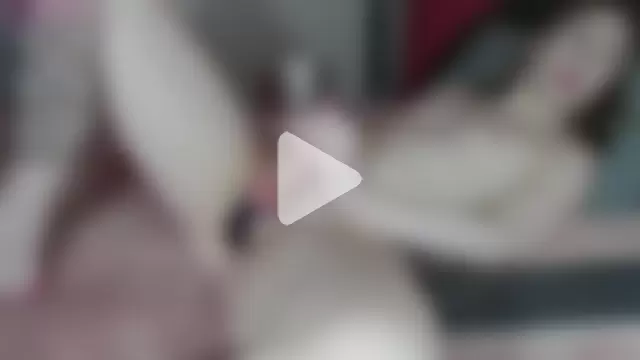 cherrysugarfree photo 5