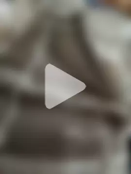 chocobbsimarn photo 18