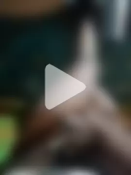 chutkadeewanamastana photo 4