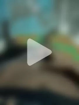 chutkadeewanamastana photo 2