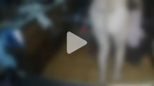 cinquantaxxx photo 4