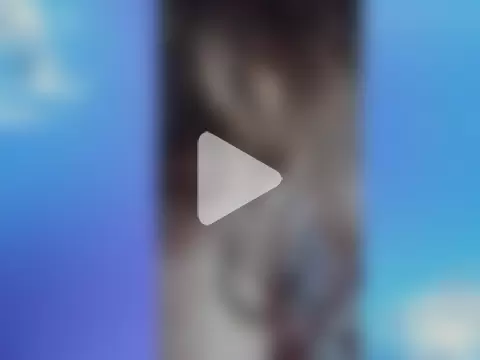 circenocturna photo 17