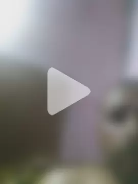 cobrosdepagos photo 6