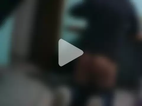 cockargentina photo 9