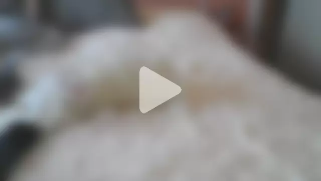 conchitopreggo photo 17