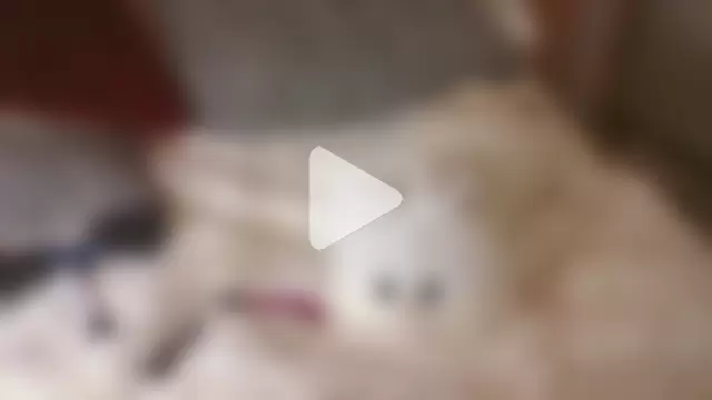 conchitopreggo photo 16