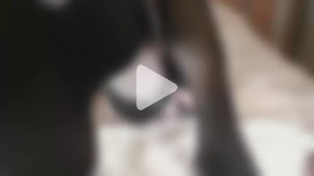 conchitopreggo photo 13