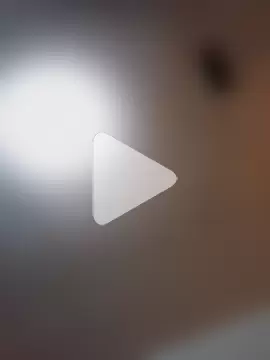 coolbrease10 photo 12