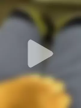 coppiapazza photo 16