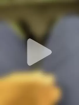 coppiapazza photo 13