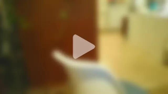 costanza7070 photo 25