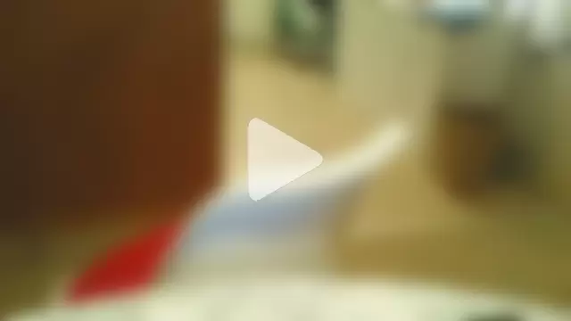 costanza7070 photo 12