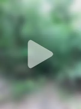 couplesexroom photo 12