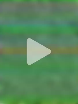 couplesexroom photo 3