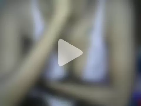 creamy_xoxox photo 30