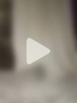 criscrispdv photo 14