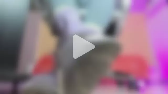 cristal_crossfitx photo 1