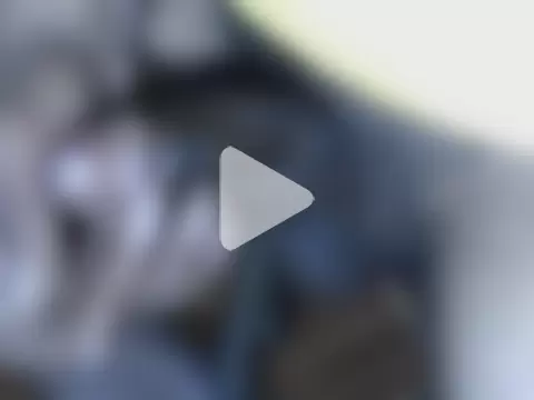 cuckold4usexy photo 1