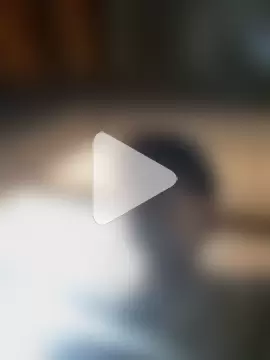 culitobosterook photo 2