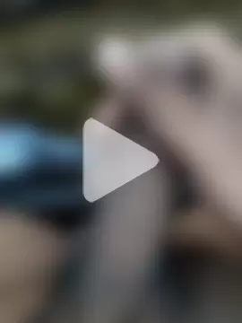 cumshotboy01 photo 15