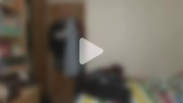 curiosillo83 photo 10