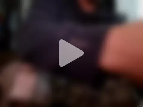 curiouscock38 photo 9