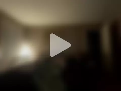 curis4270panda photo 7