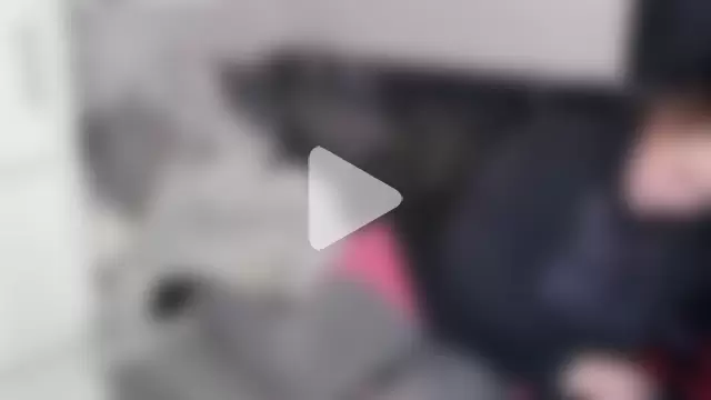 curvybabe2023 photo 5