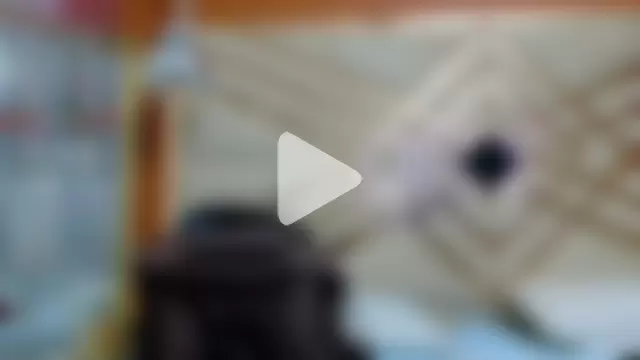 curvybuffgirllll photo 21