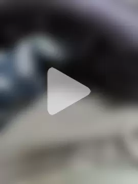 cyanidecuriosity photo 2