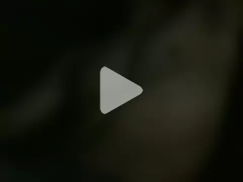 dangerman94 photo 17