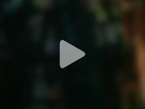 dangerman94 photo 14