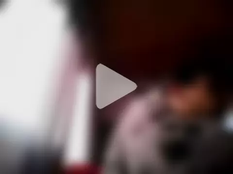 danilove2201 photo 20