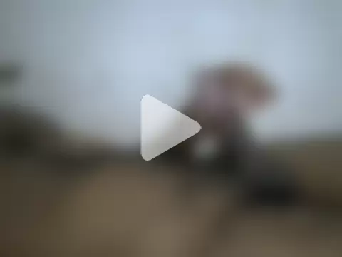 danny69_69_69_ photo 10