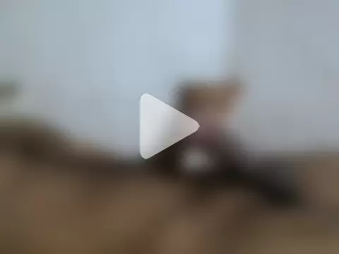 danny69_69_69_ photo 7