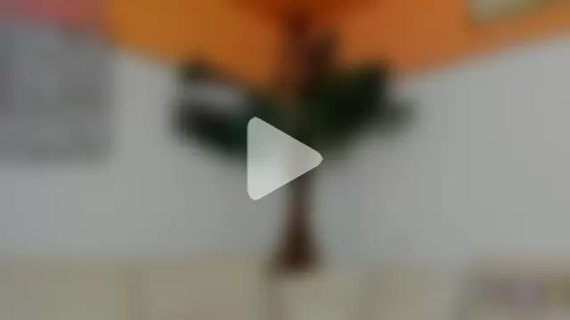 dark_summer photo 23