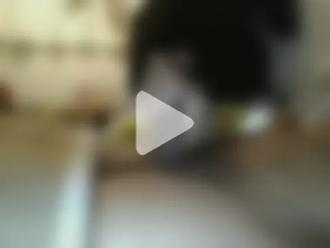 darshan_guj photo 14